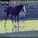 2013/03/tumblr-tumblr-mi5vafuc8j1rlvvt8o1-250