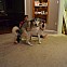 2013/03/imgur-wj6z7lp