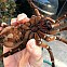 2013/03/navratdoreality-13